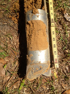 Kershaw Soil