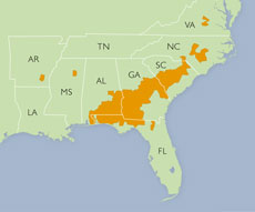Orangeburg Extent Map