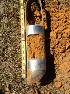 Fuquay Soil