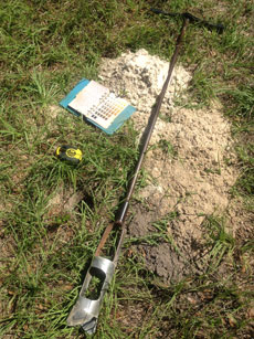 Alpin Soil