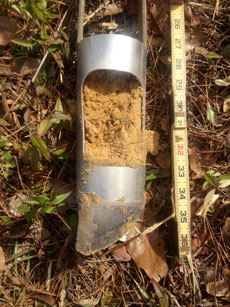 Leefield Soil