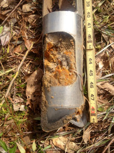 Leefield Soil