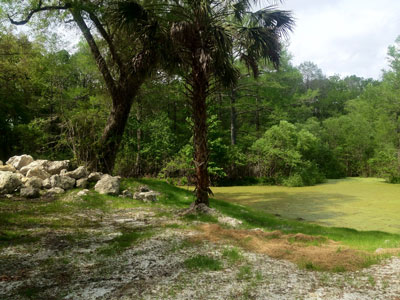 Moriah Landscape