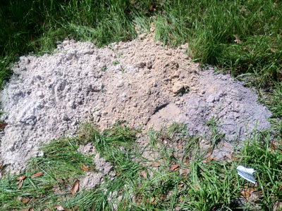 Moriah Soil