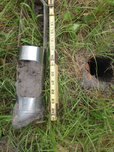 Plummer Soil